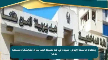 بخطوة حاسمة اليوم.. سيدة في قنا تضبط لص سرق معاشها وتسلمه للأمن